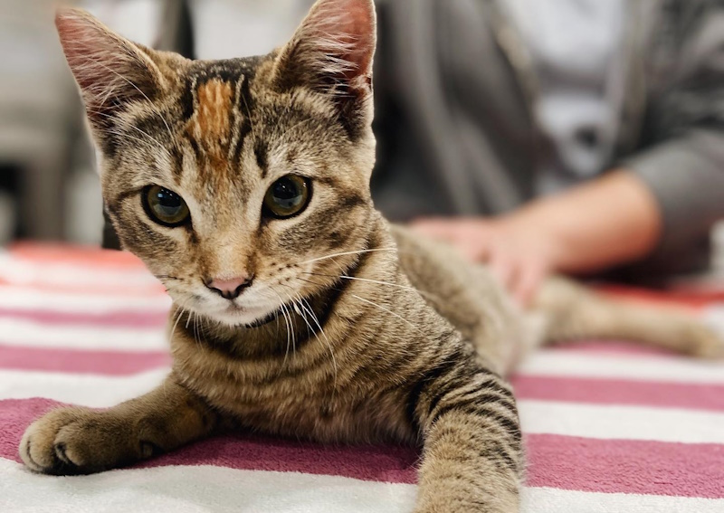 Carousel Slide 4: Watch some videos for awesome tips!