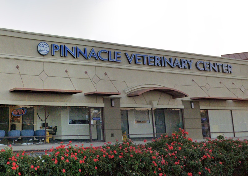 Carousel Slide 3: Learn more about Pinnacle Veterinary Center