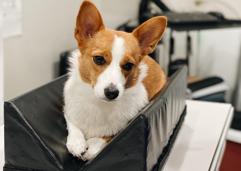 Carousel Slide 7: View our diagnostic services